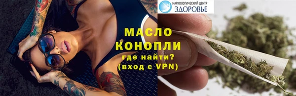 гашик Пестово