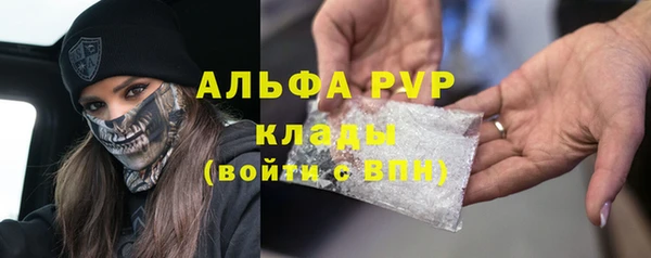 гашик Пестово
