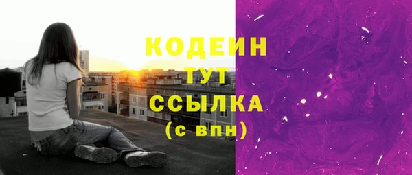 гашик Пестово