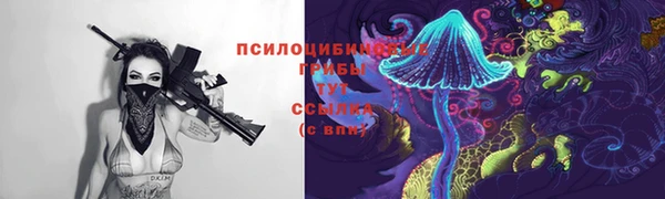 экстази Пересвет