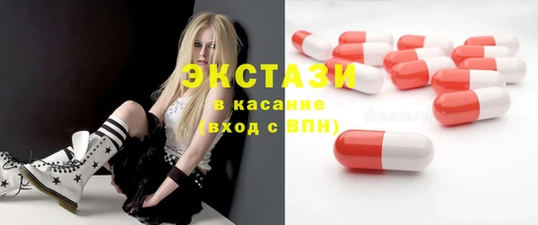 гашик Пестово