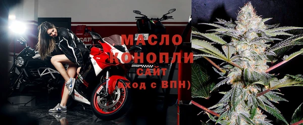 гашик Пестово