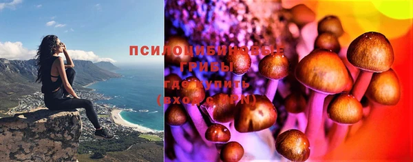 гашик Пестово