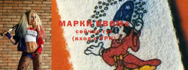 шишки Дмитров