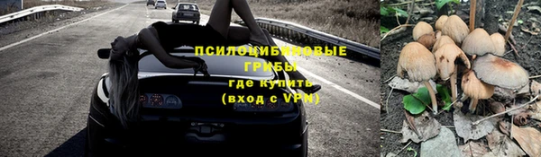 гашик Пестово